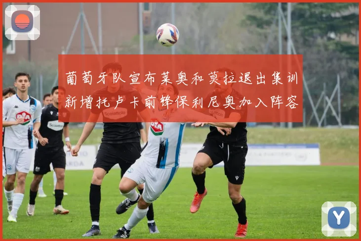 葡萄牙队宣布莱奥和莫拉退出集训新增托卢卡前锋保利尼奥加入阵容