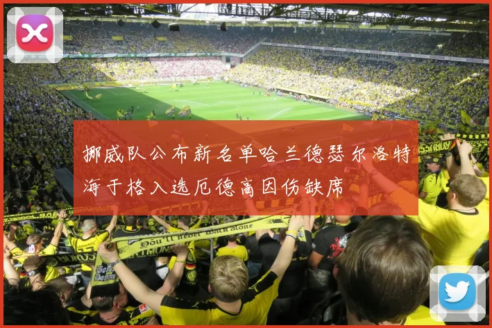 挪威队公布新名单哈兰德瑟尔洛特海于格入选厄德高因伤缺席